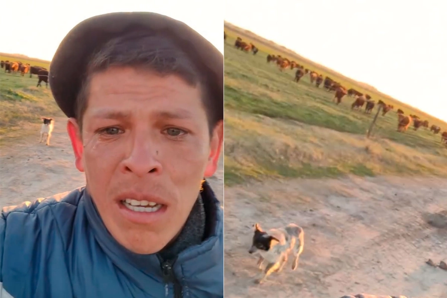 V&iacute;ctor D&iacute;az y el perrito que lo sigue. Foto: Redes