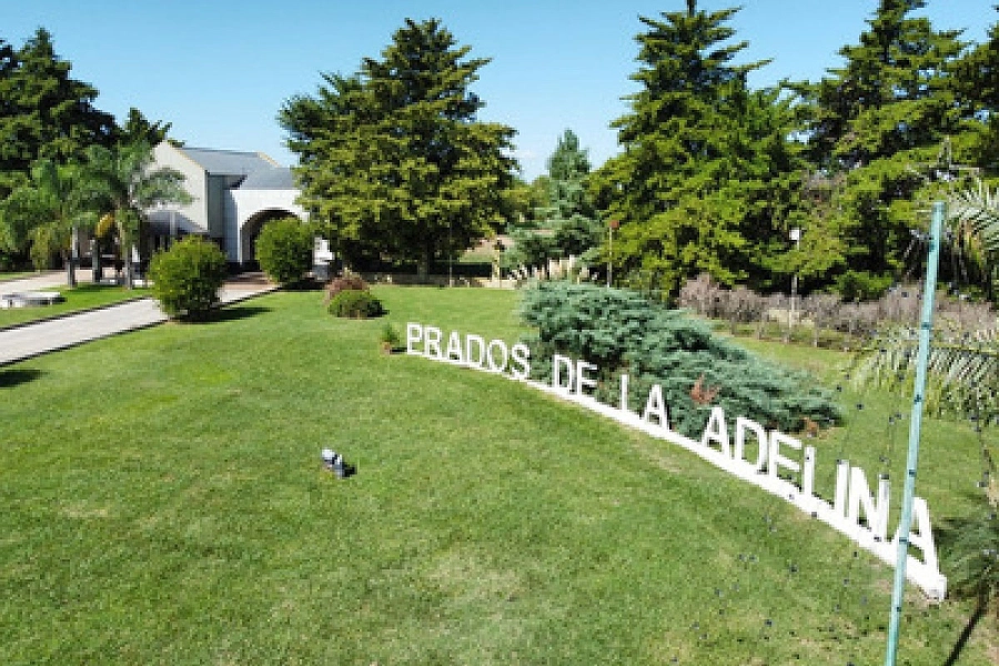 Prados de la Adelina. Maximaonlina