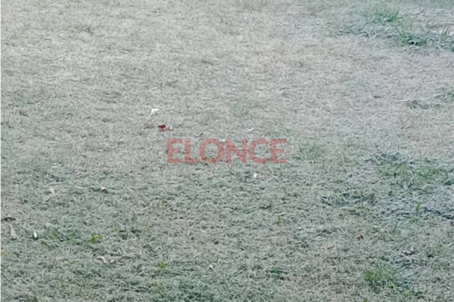 Paran&aacute; amaneci&oacute; bajo cero: la helada ti&ntilde;&oacute; de blanco calles y autos