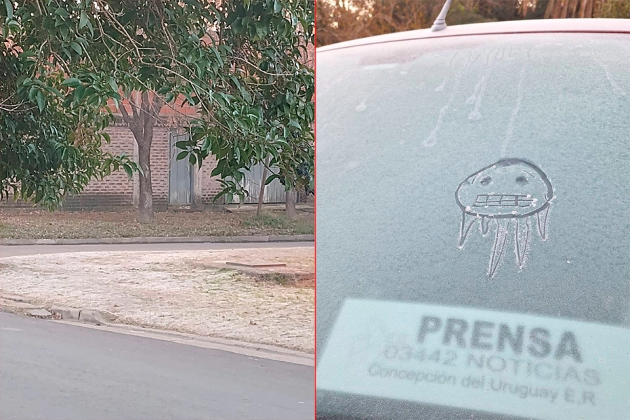 Helada en Concepci&oacute;n del Uruguay