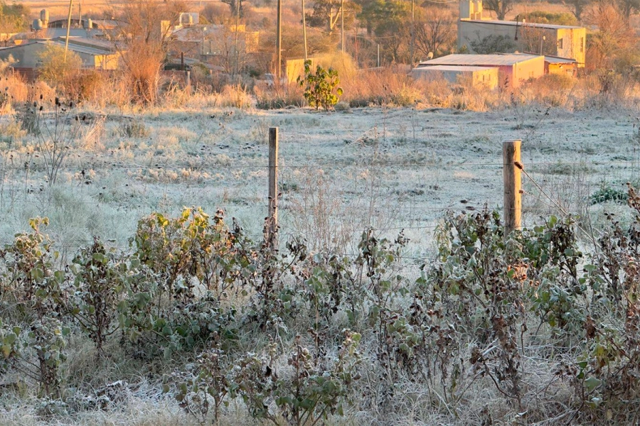 Helada en Concepci&oacute;n del Uruguay