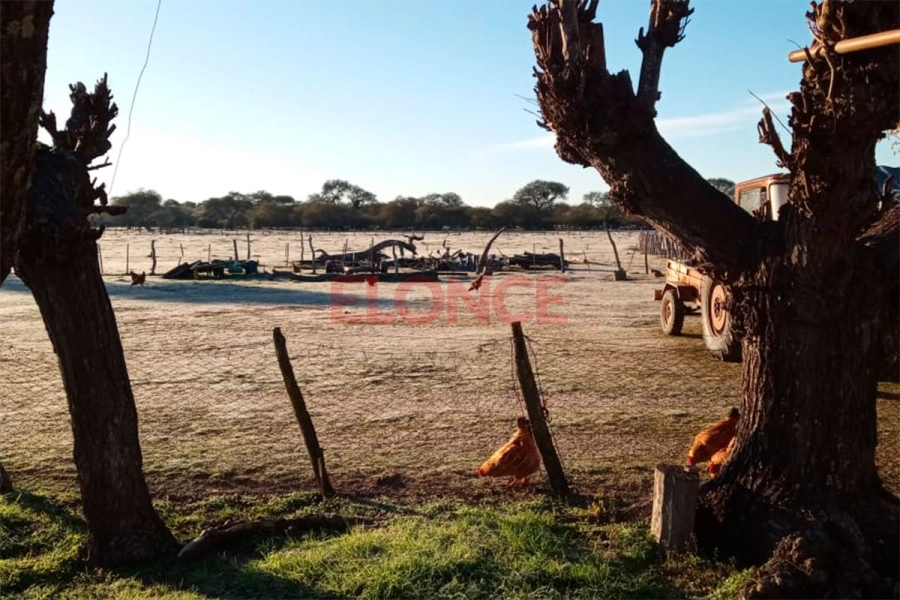 Campos de Mar&iacute;a Grande