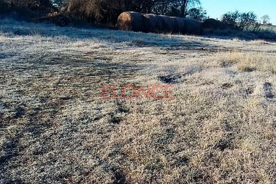 Campos de Mar&iacute;a Grande