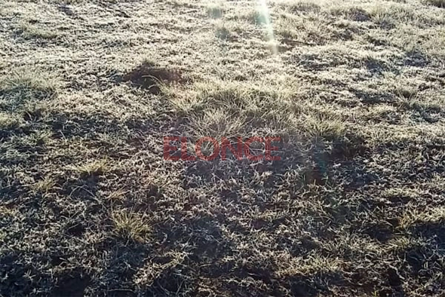 Campos de Mar&iacute;a Grande