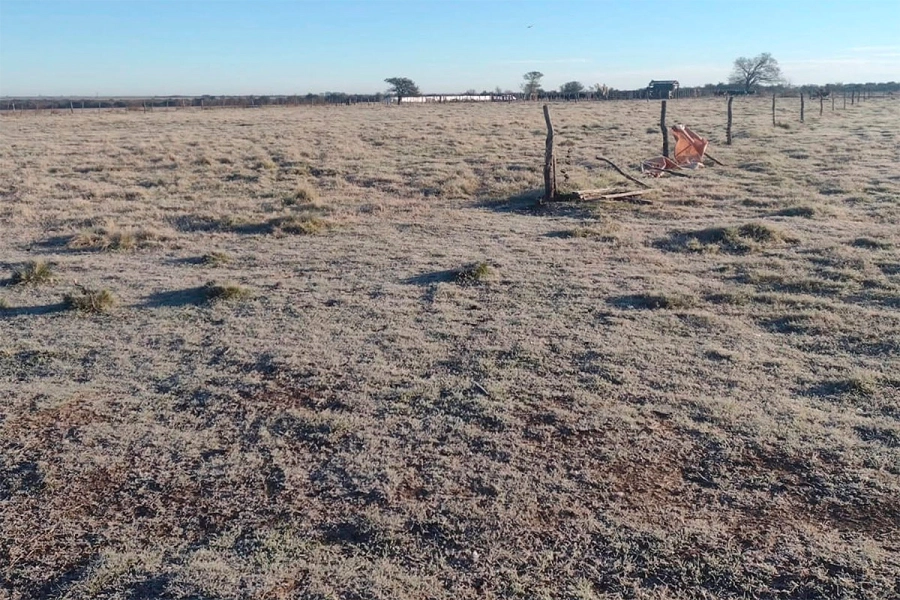 Pronostican heladas. Elonce