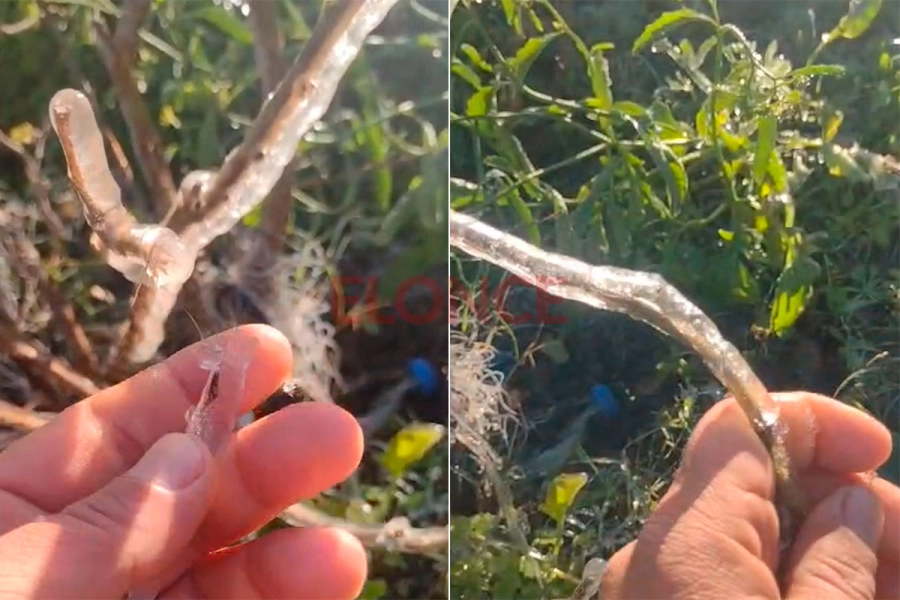 Helada zona Diamante