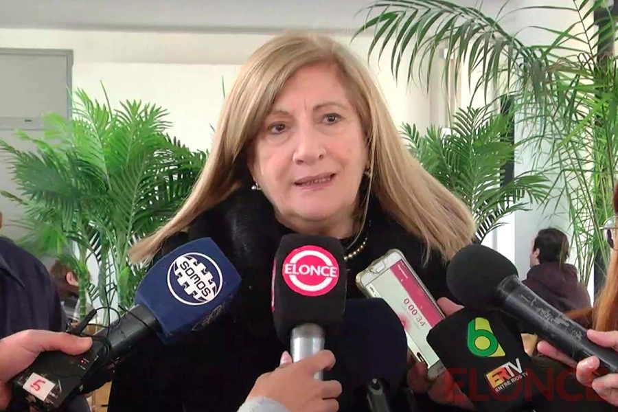 Rosario Romero, intendenta de Paran&aacute; (foto Elonce)