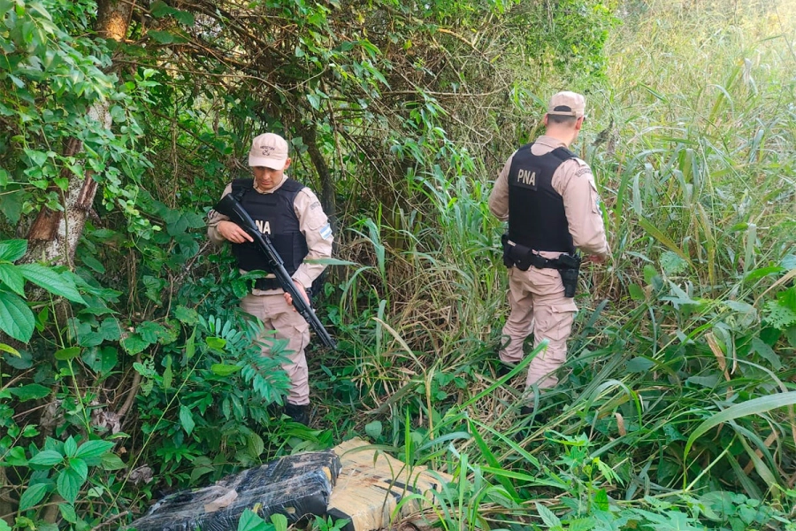 Prefectura secuestr&oacute; m&aacute;s de 200 kilos de droga