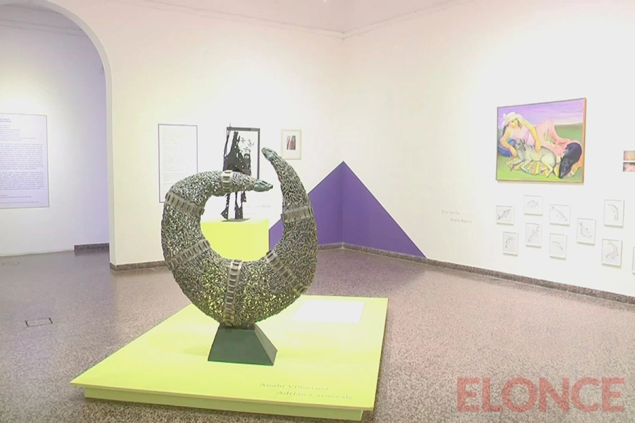 Museo Provincial de Bellas Artes &ldquo;Dr. Pedro E. Mart&iacute;nez&rdquo; (foto Elonce)