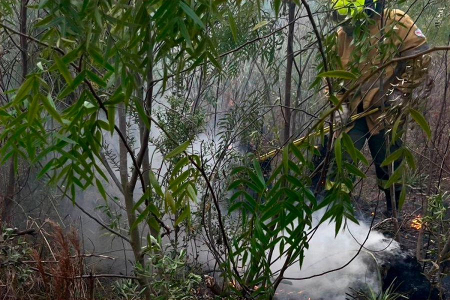 (Bomberos Voluntarios Paran&aacute;).