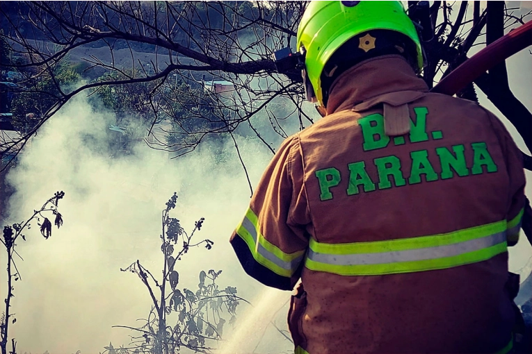 Hallaron un perro “colgado y calcinado” en un incendio intencional en Paraná
