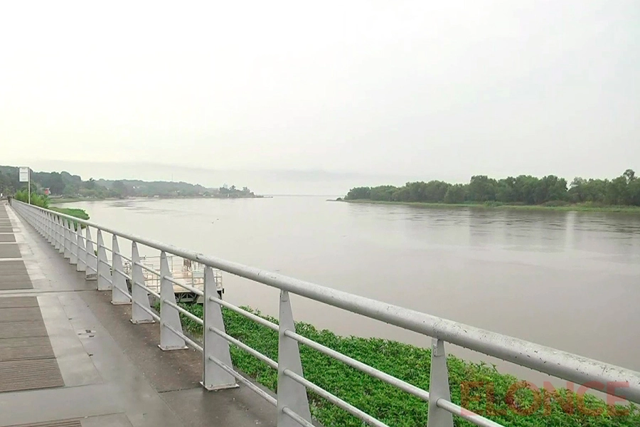 Viernes gris. Elonce