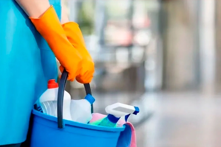 Empleo dom&eacute;stico. Archivo