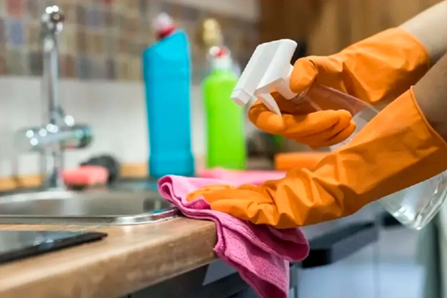 Empleadas dom&eacute;sticas