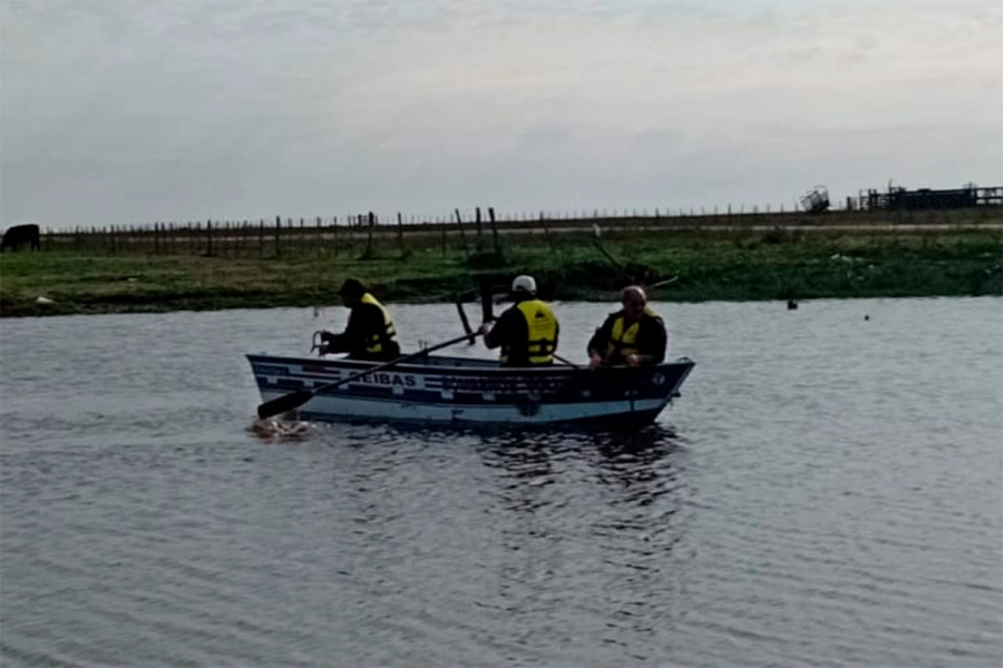 Reanudan b&uacute;squeda para hallar al segundo ocupante del auto que cay&oacute; en un arroyo