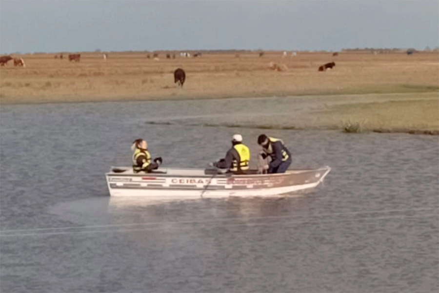 Reanudan b&uacute;squeda para hallar al segundo ocupante del auto que cay&oacute; en un arroyo