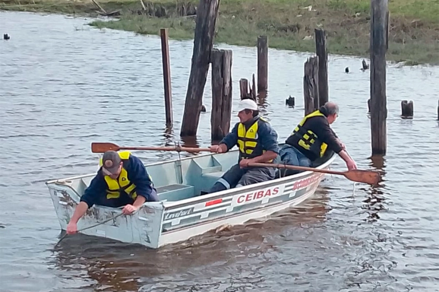 Reanudan b&uacute;squeda para hallar al segundo ocupante del auto que cay&oacute; en un arroyo