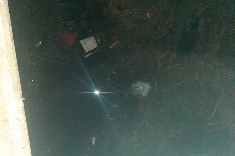 Un auto cay&oacute; a un arroyo en Entre R&iacute;os: rescataron a cuatro personas y cuatro perros