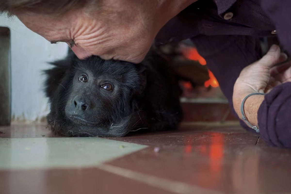 Coco falleció en las últimas horas. Coco falleció en las últimas horas.