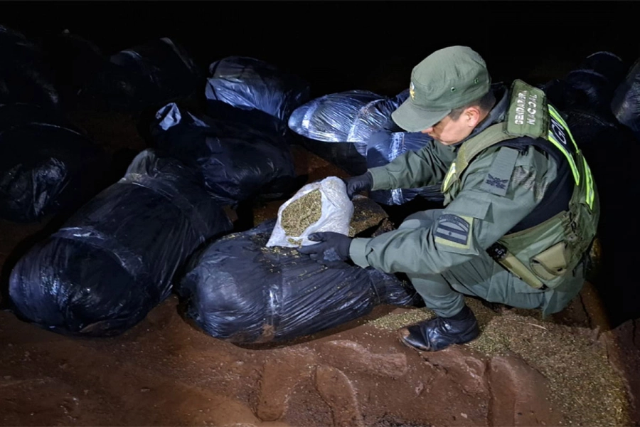 Marihuana en las orillas del r&iacute;o Paran&aacute;. Gendarmer&iacute;a Nacional