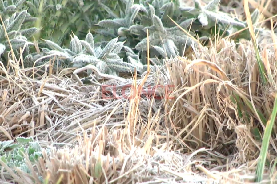 Helada en Paran&aacute;