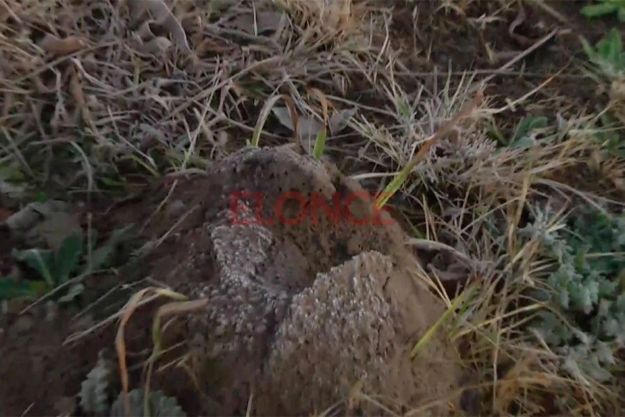 Helada en Paran&aacute;