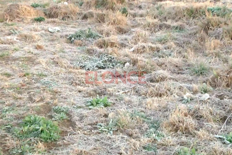 Helada en Paran&aacute;