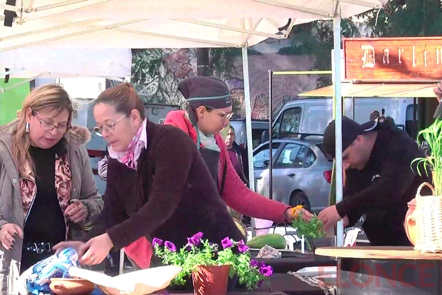 Patio gastron&oacute;mico de la Feria de Invierno (foto Elonce)