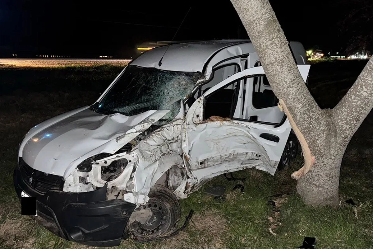 Kangoo chocó contra un árbol cerca de Crespo. Kangoo chocó contra un árbol cerca de Crespo.