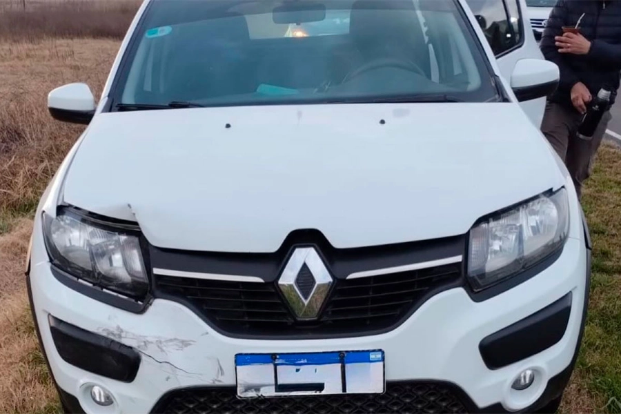 Un auto choc&oacute; contra un ciervo y fue embestido por otro en Ruta 11