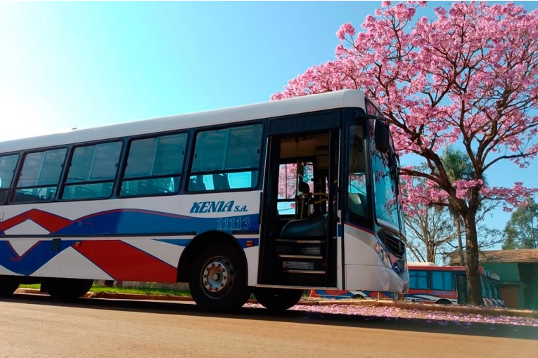 Transporte urbano: empresa anunció que obtuvo la licitación del servicio en Paraná