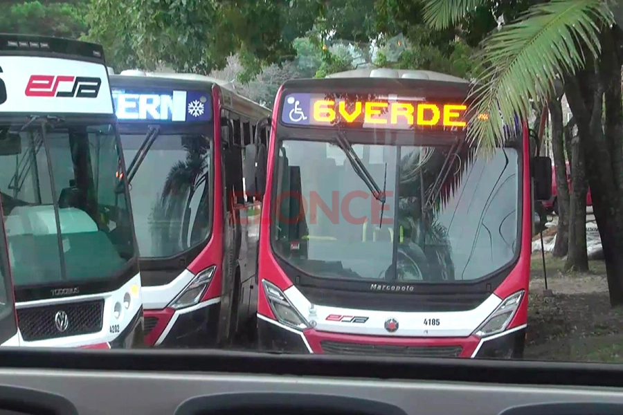 Nuevas unidades para el transporte metropolitano (foto Elonce)