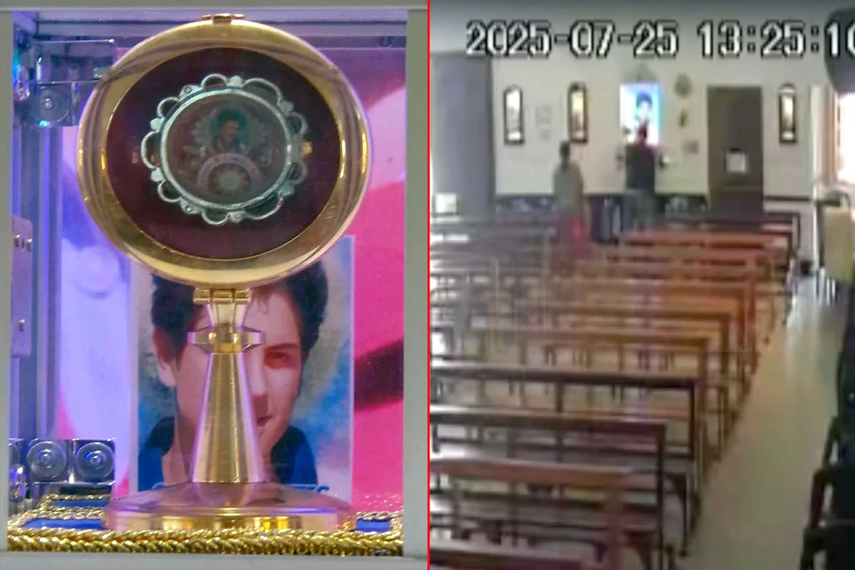 The relics of Carlo Acutis were stolen from the parish of Paraná.