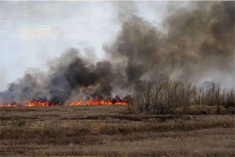 Condenaron a prisión efectiva a responsables de incendios en islas entrerrianas
