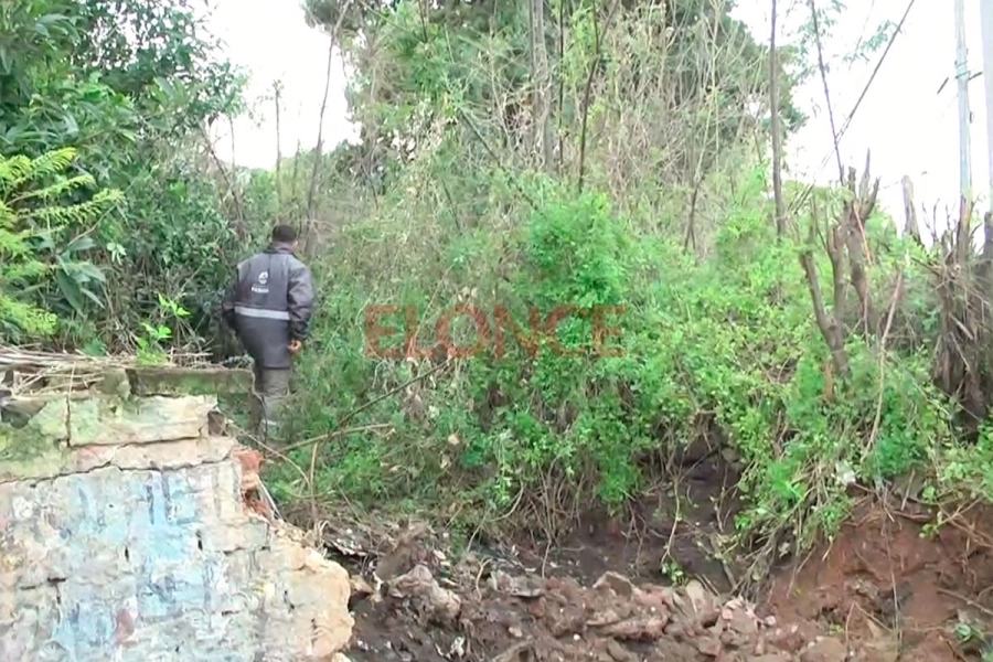 Limpian un terreno bald&iacute;o en Paran&aacute;
