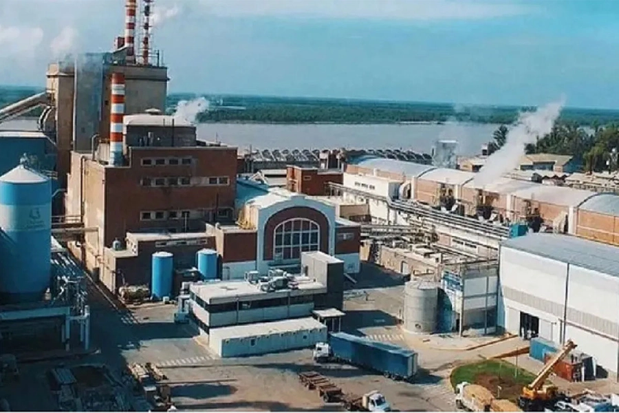 Celulosa Argentina frena producci&oacute;n. Redes