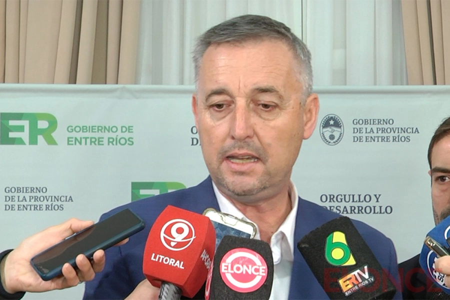 Presidente de la Cámara de Diputados, <b>Gustavo Hein</b>,