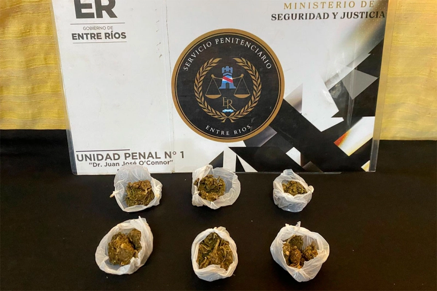 Intentaron ingresar droga a la c&aacute;rcel de Paran&aacute; oculta en facturas y galletas