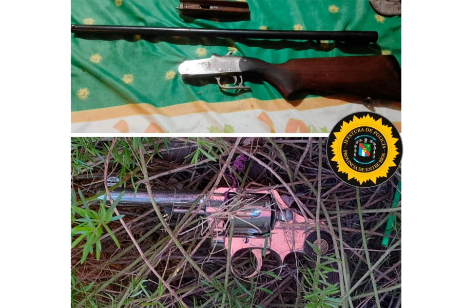 Las armas secuestradas