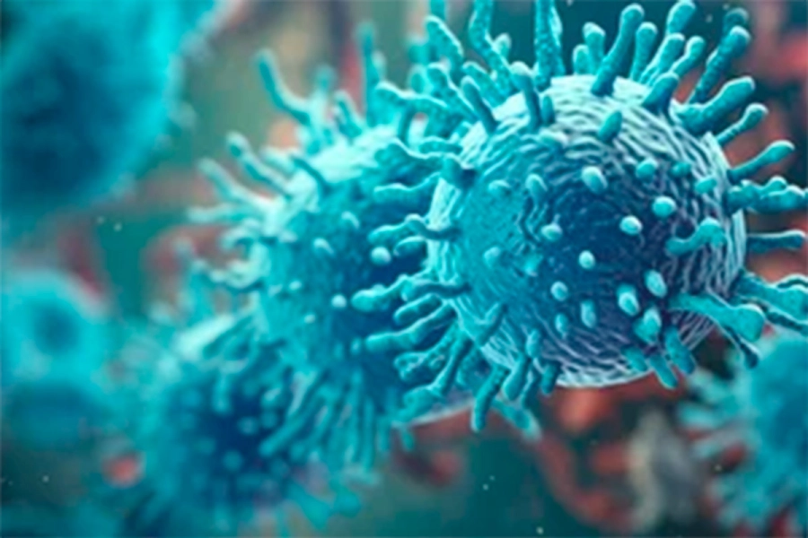 Un estudio logr&oacute; reducir el da&ntilde;o card&iacute;aco de Pfizer