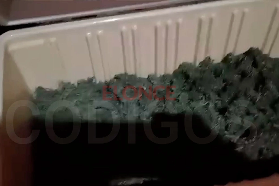 Las tomas que hizo el hombre sobre la marihuana incautada. Foto: C&oacute;digos.