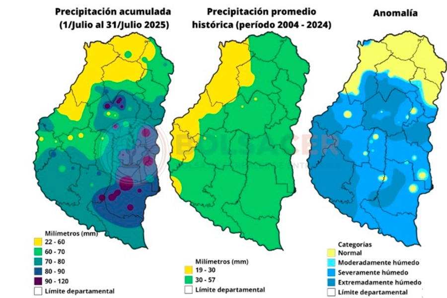 El mapa de lluvias en julio. Foto: Bolsa de Cereales de Entre R&iacute;os.