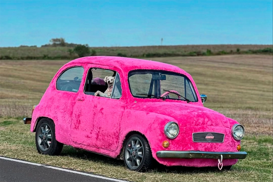 Joven cubrió de tela de peluche rosa su Fiat 600 en Paraná