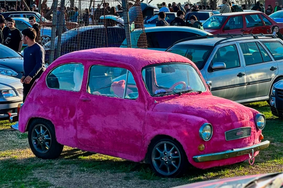 Joven cubri&oacute; de tela de peluche rosa su Fiat 600 en Paran&aacute;