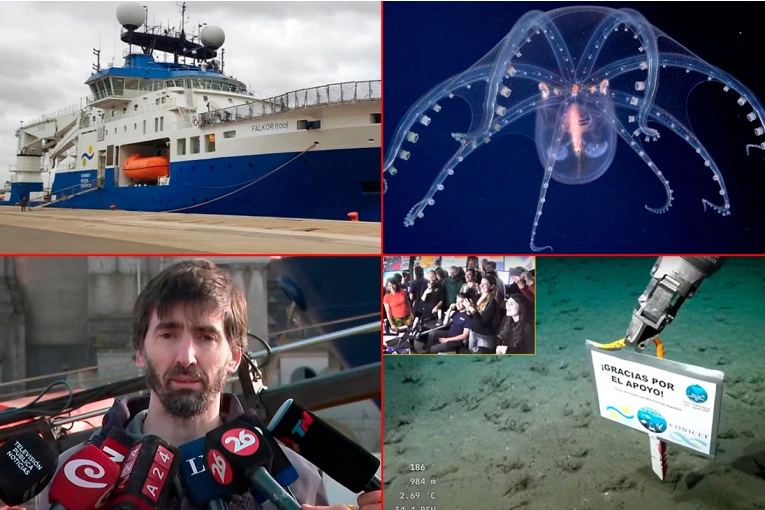 La emoción de los científicos del Conicet tras la expedición al fondo del mar: “vienen años de trabajo”