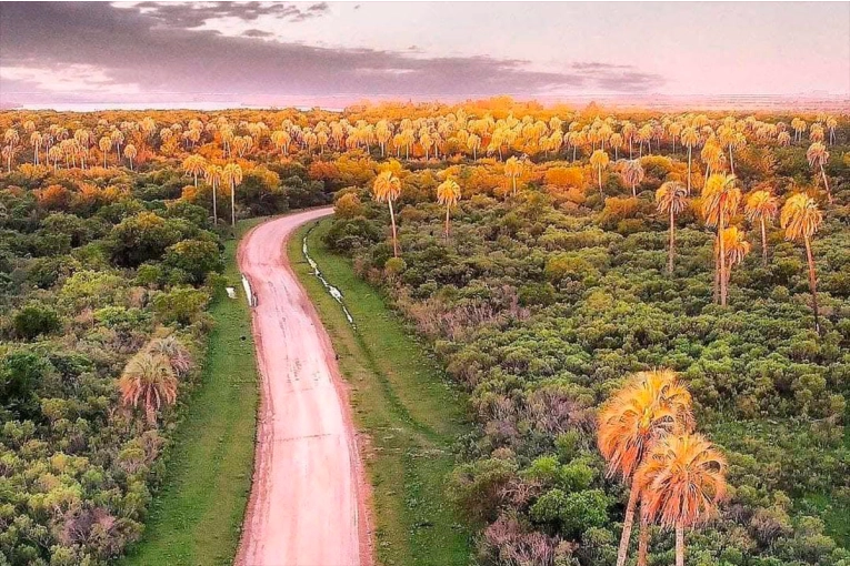 Dispusieron un régimen de retiro voluntario en los Parques Nacionales