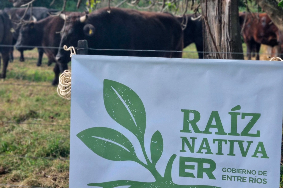 Entre R&iacute;os certifica producci&oacute;n ganadera sostenible