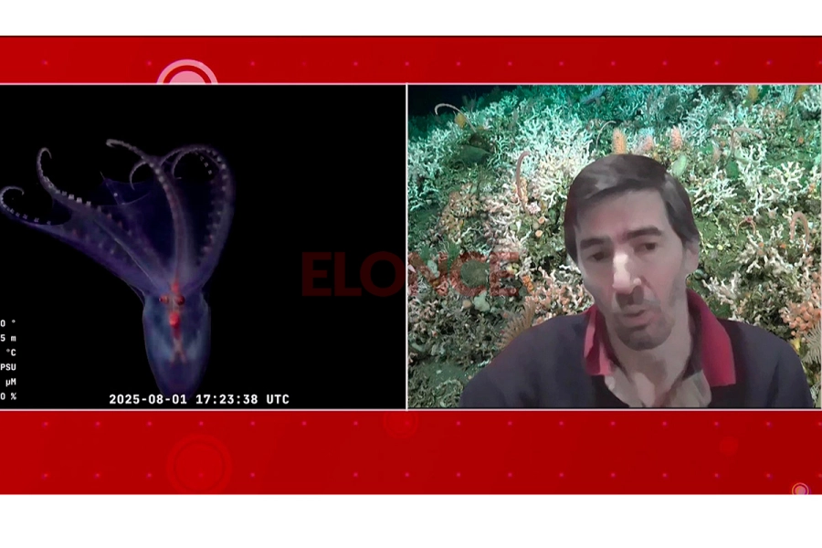 Daniel Lauretta, investigador del CONICET (foto Elonce)