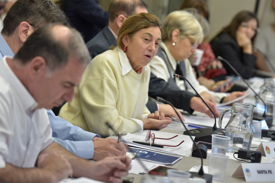 Alicia Fregonese en el Consejo Federal de Educaci&oacute;n