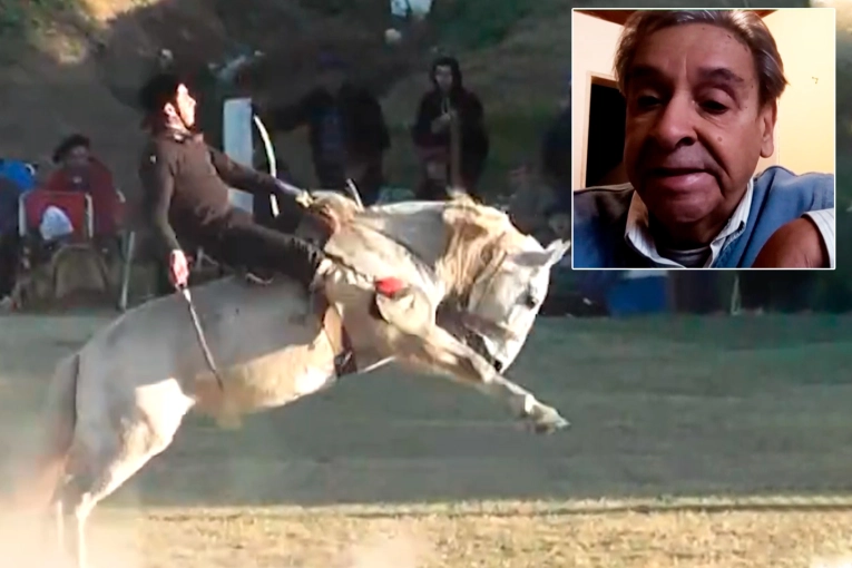 “Se naturaliza la violencia”, dijeron desde Conciencia Animal sobre amparo para suspender jineteada